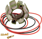 Rick's Motorsport Electric Stator Suzuki