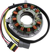 Rick's Motorsport Electric Stator Ski Doo