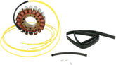 Rick's Motorsport Electric Stator Canam
