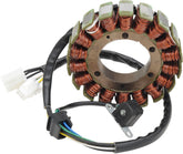 Rick's Motorsport Electric Stator Arctic Cat