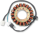 Rick's Motorsport Electric Stator Arctic Cat