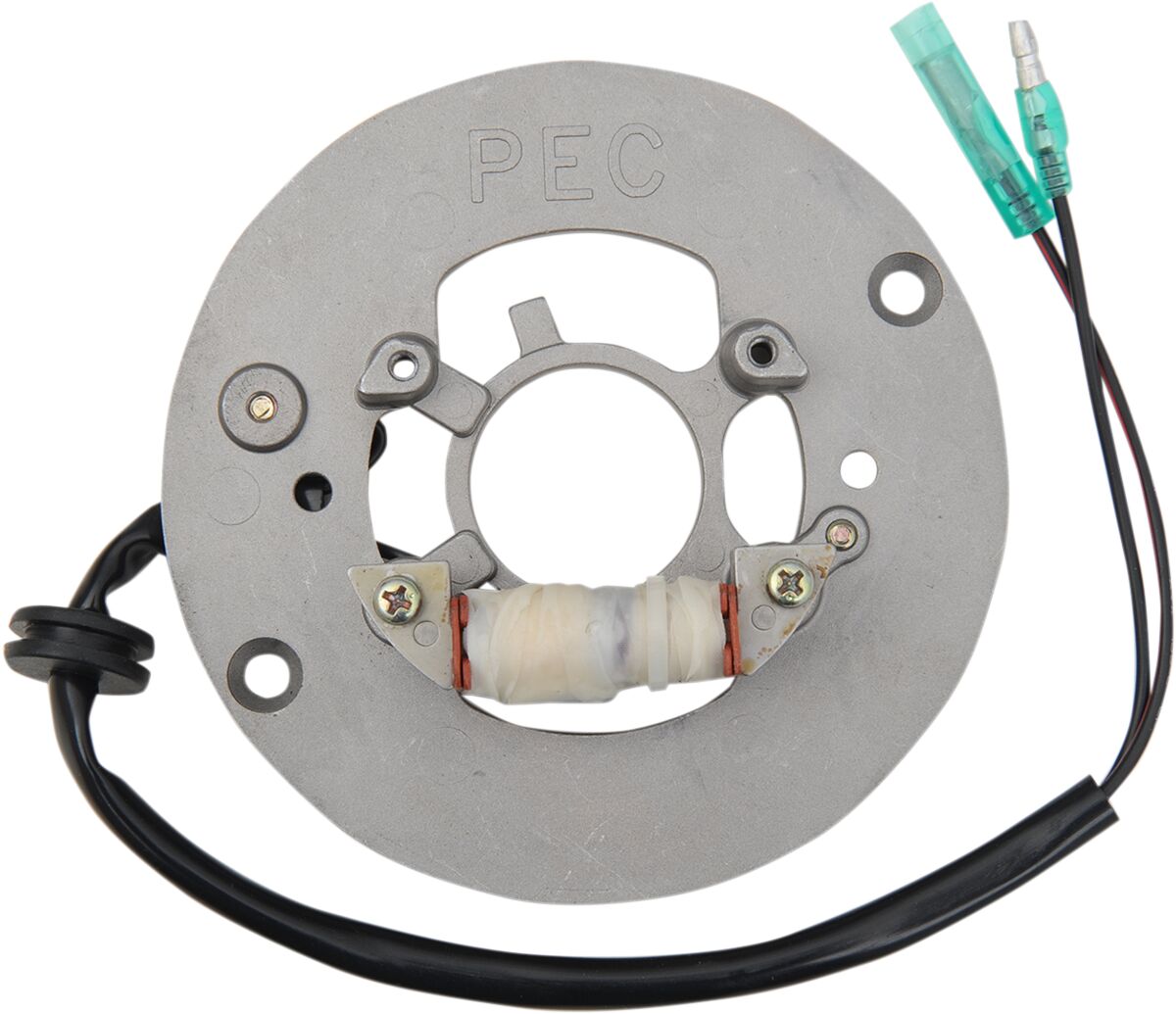 Rick's Motorsport Electric Stator Yamaha