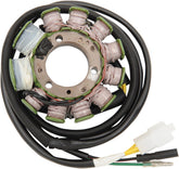 Rick's Motorsport Electric Stator Honda Rebel