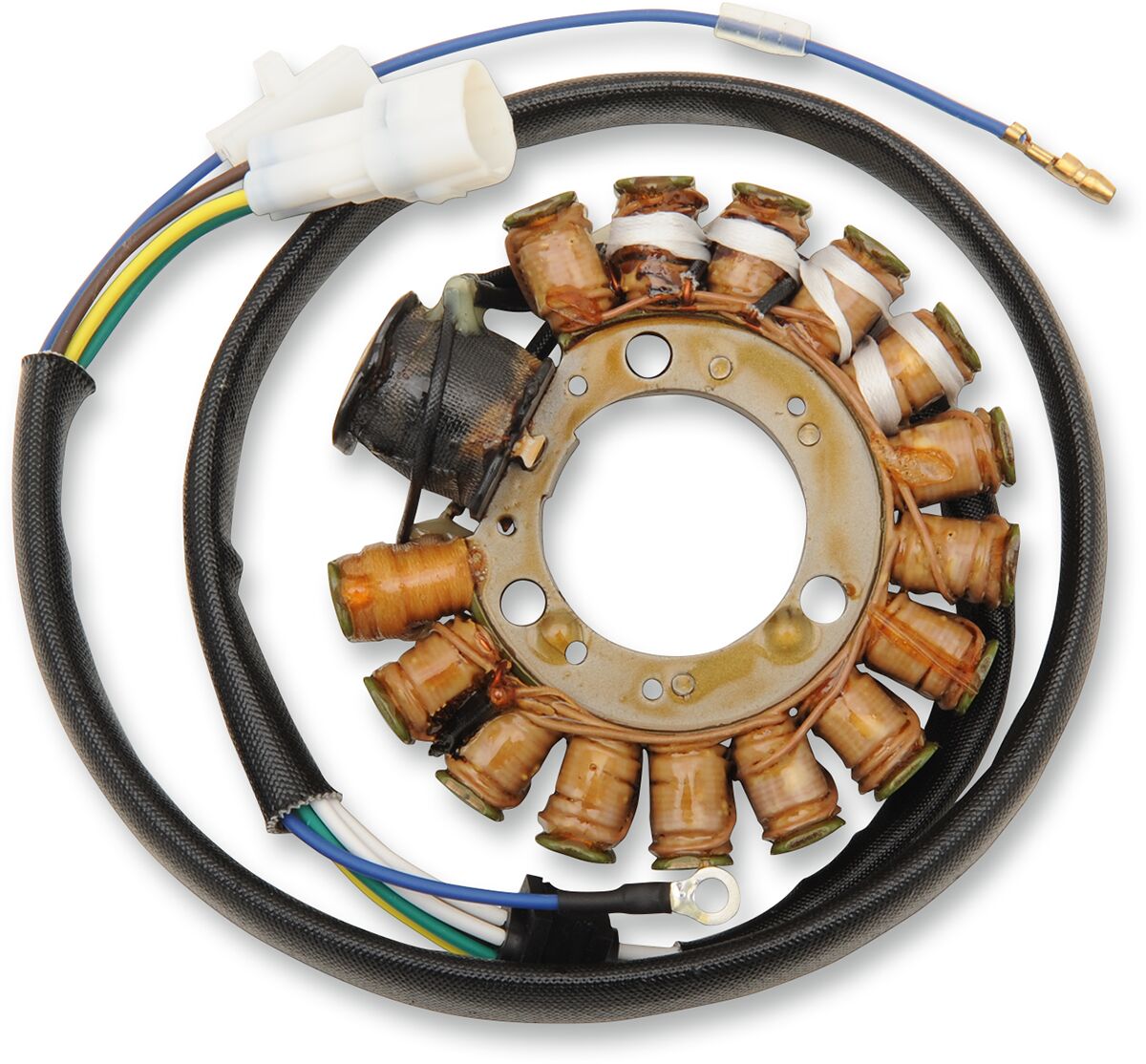 Rick's Motorsport Electric Stator Yamaha