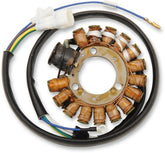 Rick's Motorsport Electric Stator Yamaha
