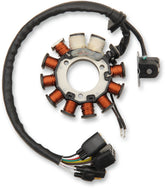 Rick's Motorsport Electric Stator Polaris