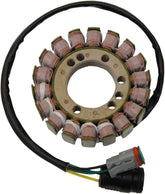 Rick's Motorsport Electric Stator Ski Doo