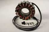Rick's Motorsport Electric Oe Style Stator Tgb