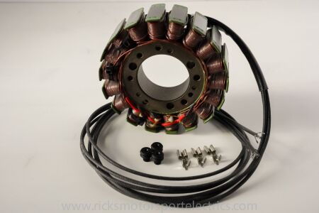 Rick's Motorsport Electric Oe Style Stator Tgb