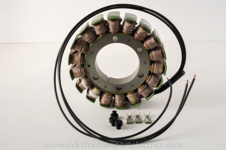 Rick's Motorsport Electric Oe Style Stator Tgb