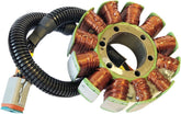 Rick's Motorsport Electric Stator Ski Doo 24 108