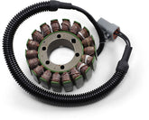 Rick's Motorsport Electric Stator Ski Doo 24 109
