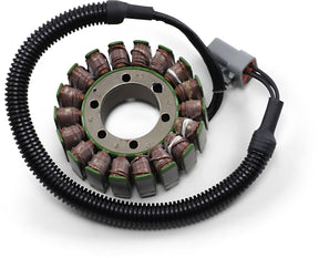Rick's Motorsport Electric Stator Ski Doo 24 109