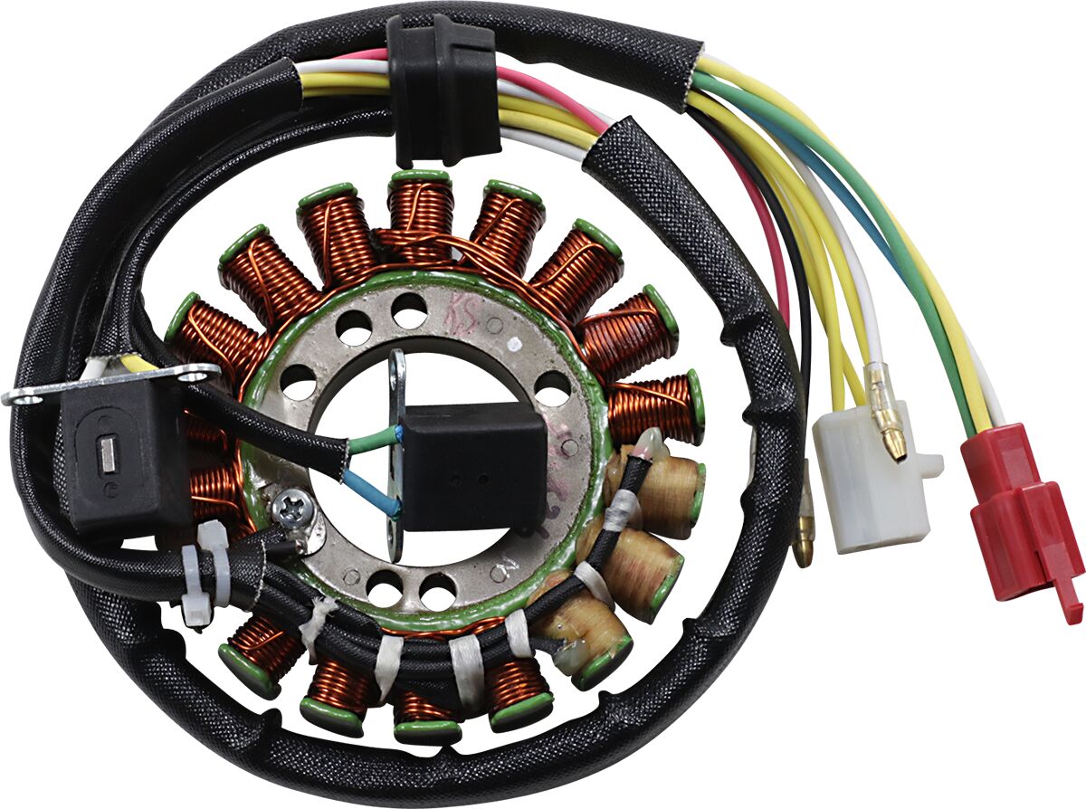 Rick's Motorsport Electric Stator Suzuki