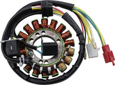 Rick's Motorsport Electric Stator Suzuki