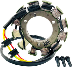 Rick's Motorsport Electric Stator Kawasaki
