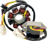 Rick's Motorsport Electric Ht Shot Lith Comp Chrg Kit