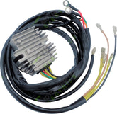Rick's Motorsport Electric Rec Reg Universal Style Bmw R6