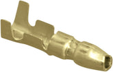 Namz Terminal Male#5 Shur 50 Pk