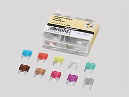 Flosser Fuses Mini 15 A 50 Pk