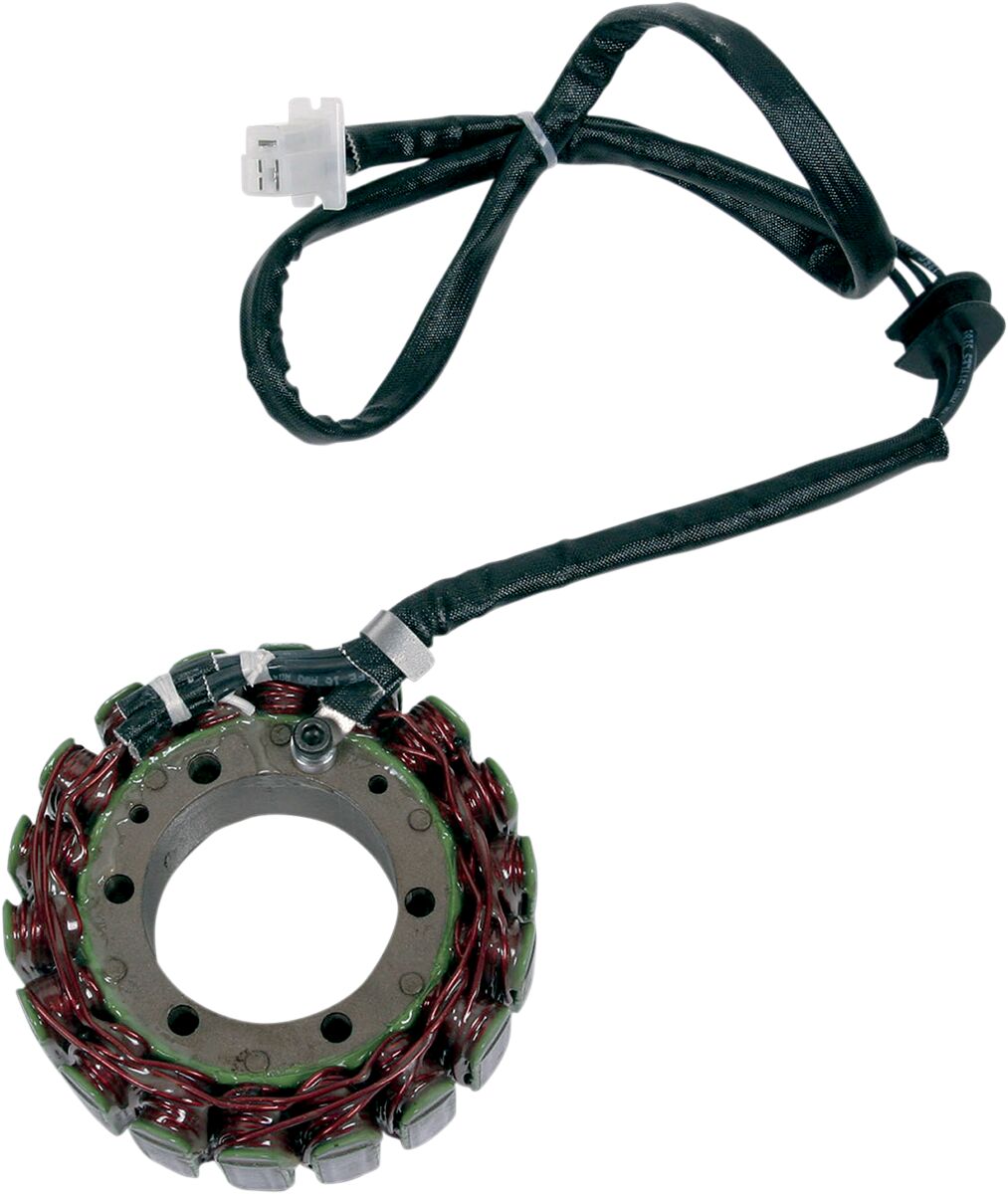 Rick's Motorsport Electric Stator Yamaha