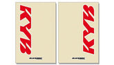 Blackbird Racing Fork Stickers Kyb Cl