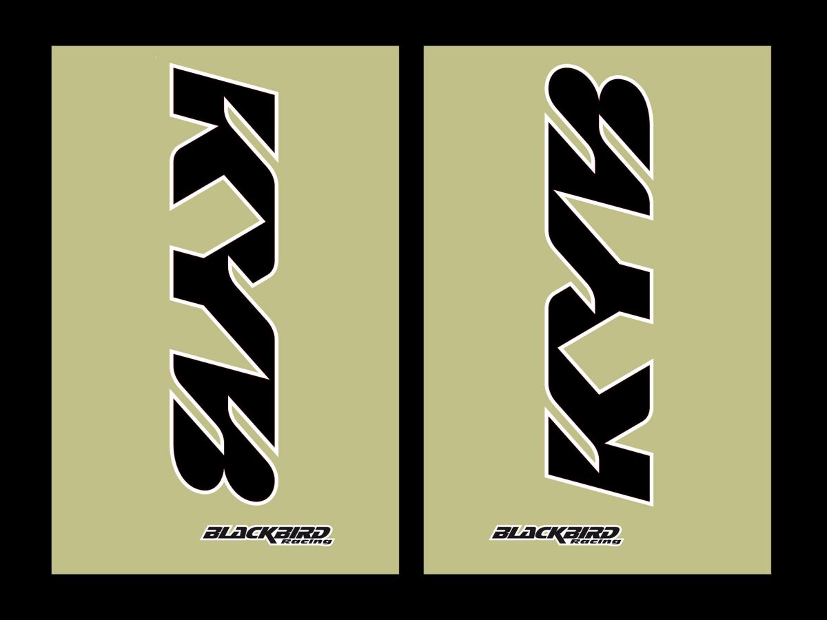 Blackbird Racing Fork Stickers Kyb Blk