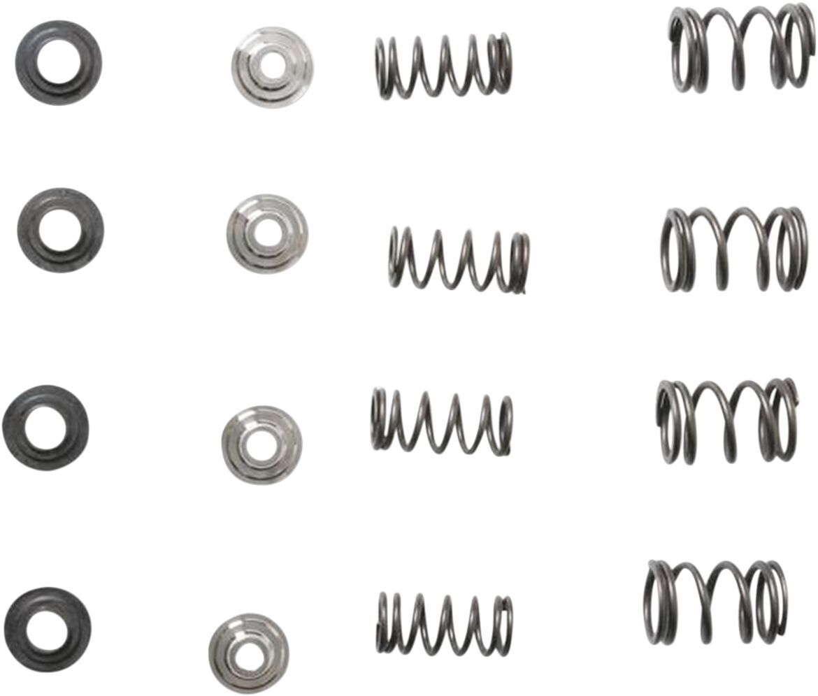 Kibblewhite Spring Kit Xr/Xl5/600/650