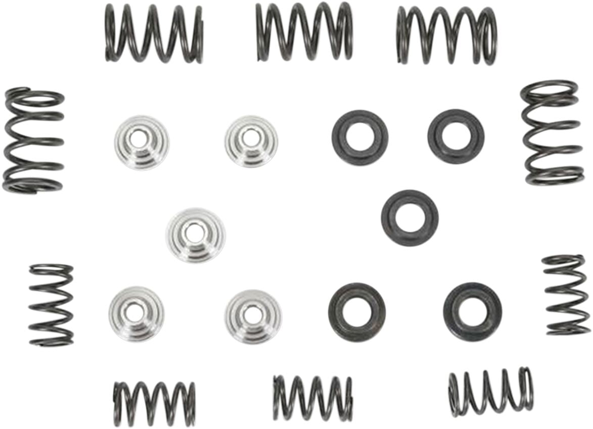 Kibblewhite Spring Kit Yfm660 R 01 02