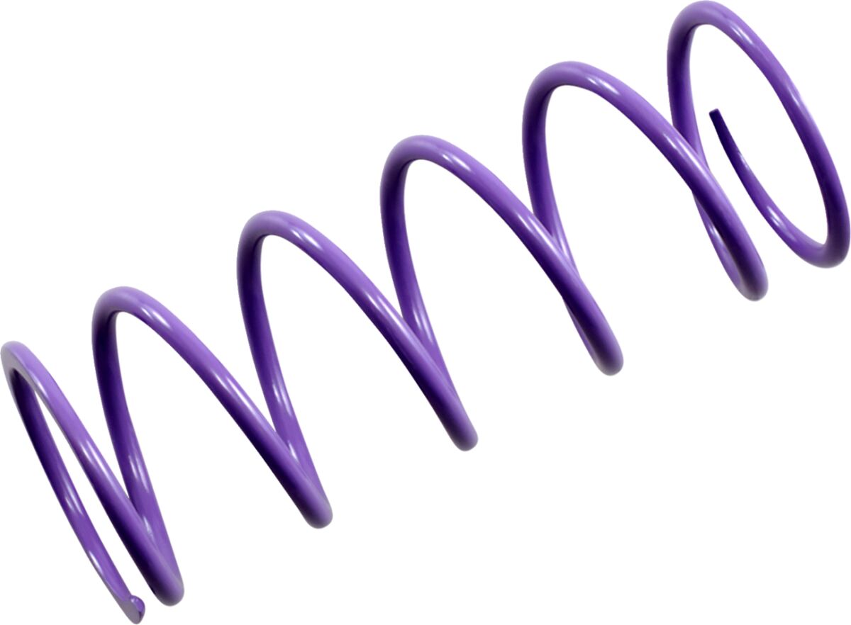 Epi Spring Primary Purple