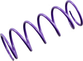 Epi Spring Primary Purple