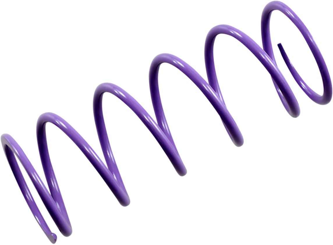 Epi Spring Primary Purple