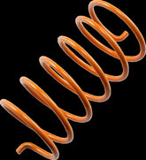 Epi Secondary Spring Orange