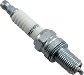Champion Champion S Plug Ra6 Hc