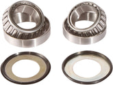 Pivot Works Steering Stem Bearings