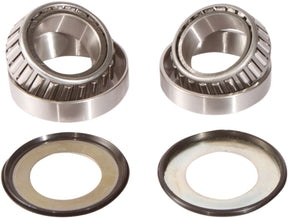 Pivot Works Steering Stem Bearings