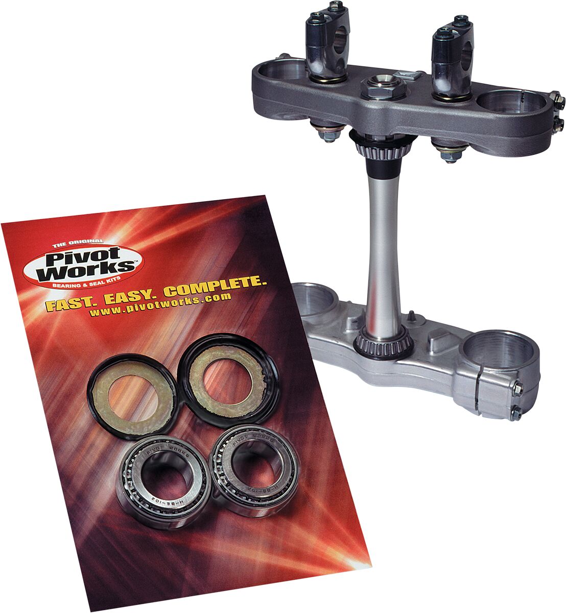 Pivot Works Steering Stem Bearings