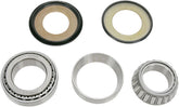 Pivot Works Steering Stem Bearings