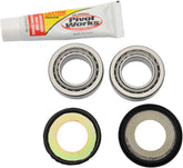 Pivot Works Steering Stem Bearings