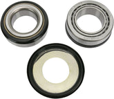 Pivot Works Steering Stem Bearings
