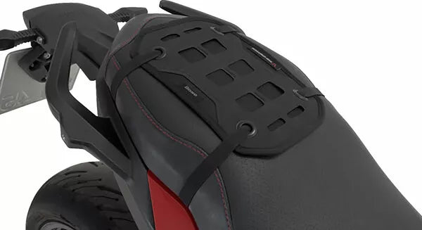 PRO Base Holster With MOLLE-Patch